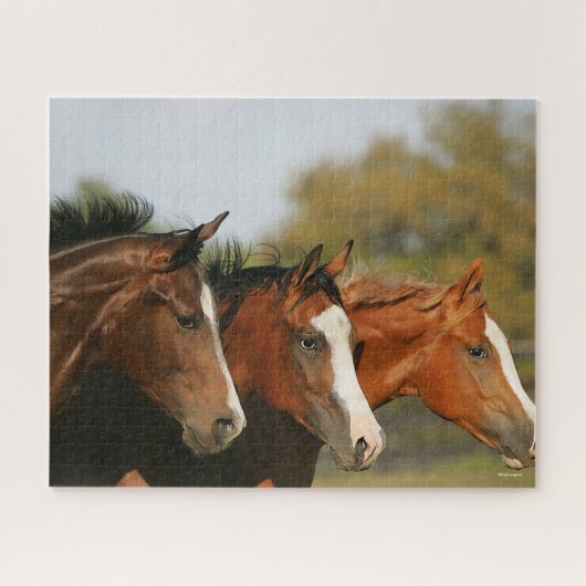 Puzzle BThree Quarter Horses Running Headshots (Horizontal)