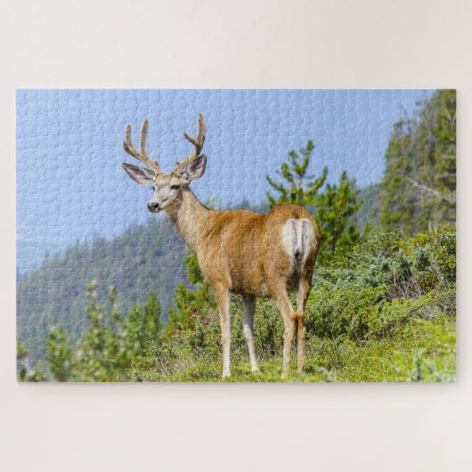 Puzzle Buck (Horizontal)