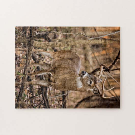 Puzzle Buck de cerf à queue blanche (Horizontal)