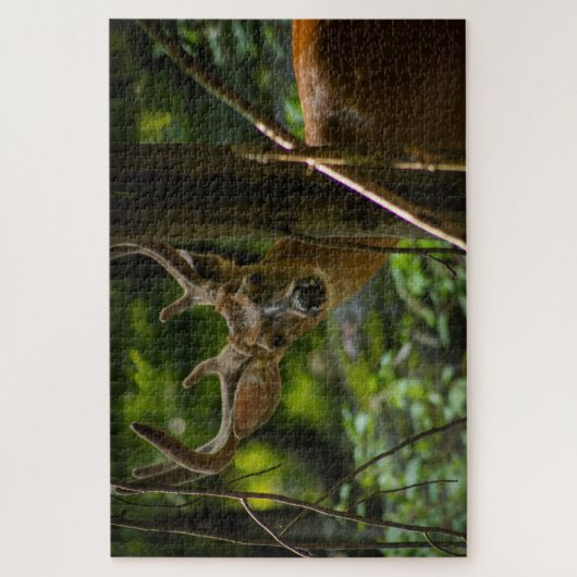 Puzzle Buck de queue blanche (Vertical)