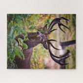 Puzzle Buck in Richmond Park - 16x20 - 520 pièces (Horizontal)