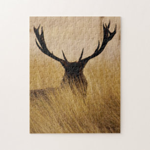 Puzzle Buck in the Brush - 11x14 - 252 pièces