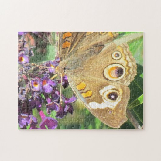 Puzzle - Buckeye Butterfly Legpuzzel (Horizontaal)