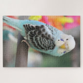 Puzzle Budgie (Horizontal)