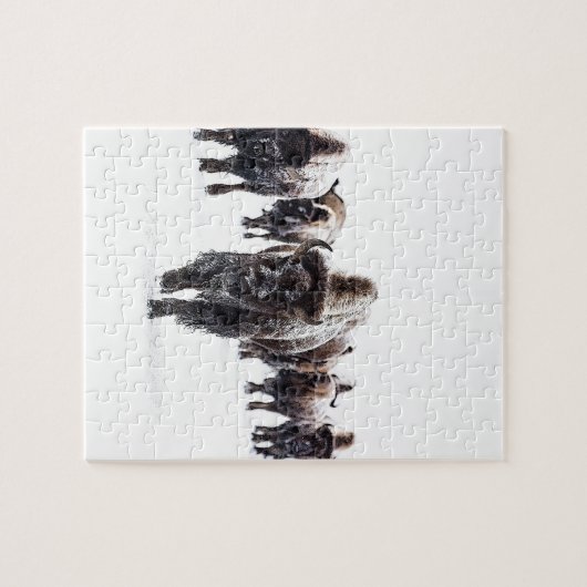 Puzzle Buffalo (Horizontal)