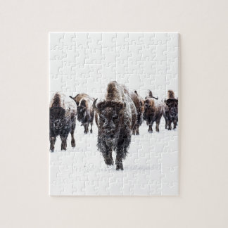 Puzzle Buffalo