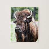 Puzzle Buffalo (Vertical)