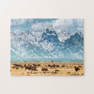 Puzzle Buffalo au-dessous des montagnes grandes de Teton