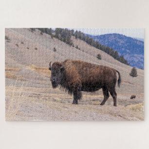 Puzzle Buffalo Bison American Wildlife