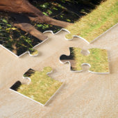 Puzzle Buffalo (Bison) Kansas, Oklahoma, Wyoming (Côté)