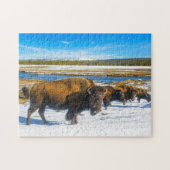 Puzzle Buffalo Montana. (Horizontal)