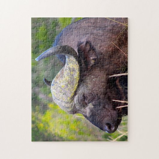 Puzzle Buffle d'eau (Vertical)