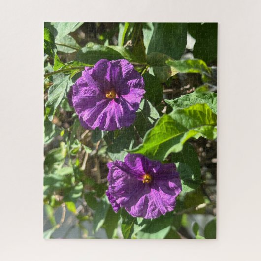 Puzzle Buisson de pomme de terre violette, Oakland (Vertical)