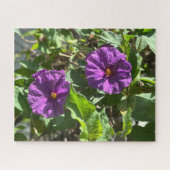 Puzzle Buisson de pomme de terre violette, Oakland (Horizontal)