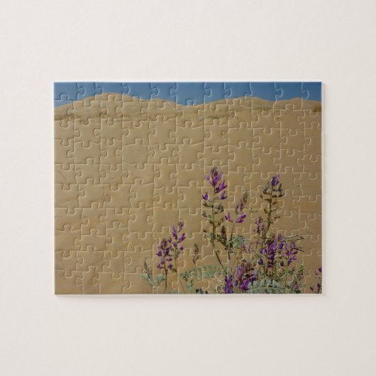 Puzzle Buisson d'indigo du Mojave et dunes de Kelso (Horizontal)