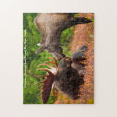 Puzzle Bull and Cow Moose Alaska. Christmas Greetings (Vertical)
