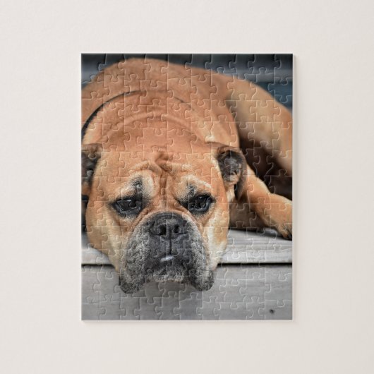 Puzzle Bull Dog (Vertical)