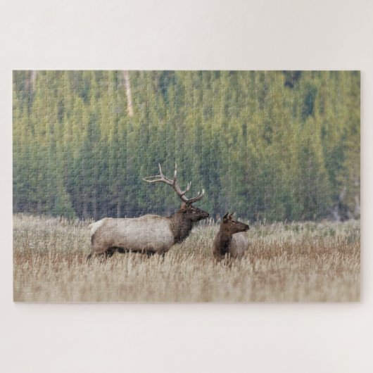 Puzzle Bull Elk dans le pré | Parc national de Yellowston (Horizontal)