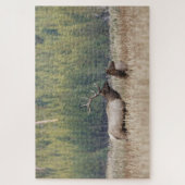 Puzzle Bull Elk dans le pré | Parc national de Yellowston (Vertical)