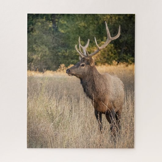 Puzzle Bull Roosevelt Elk dans l'herbe | État de Washingt (Vertical)