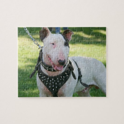 Puzzle Bull-terrier anglais (Horizontal)
