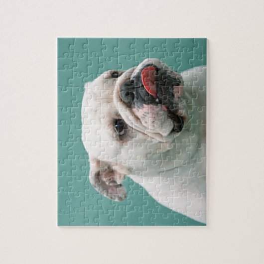Puzzle Bulldog (Vertical)