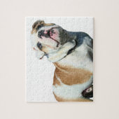 Puzzle bulldog anglais (Vertical)