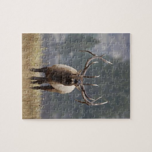 Puzzle Bulle de l'Elk, Yellowstone NP, Wyoming 2 (Horizontal)