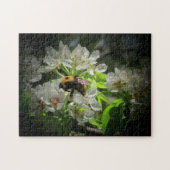 Puzzle Bumble Bee on Pear Tree Flower (Horizontal)