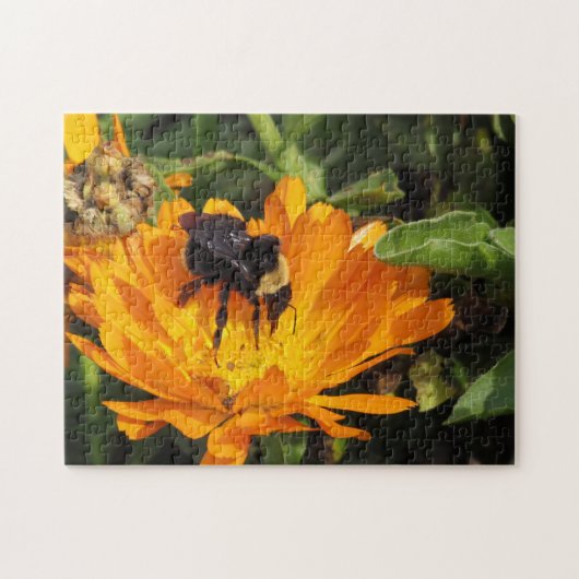 Puzzle - Bumble Bee op Calendula Legpuzzel (Horizontaal)