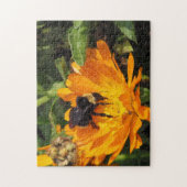 Puzzle - Bumble Bee sur Calendula (Vertical)