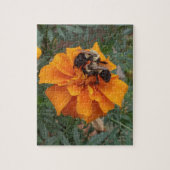Puzzle Bumblebebees sur Marigold Flower (Vertical)