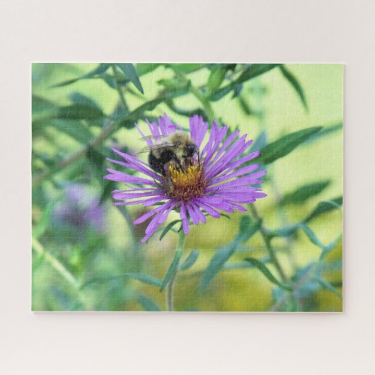 Puzzle Bumblebee sur Purple Daisy (Horizontal)