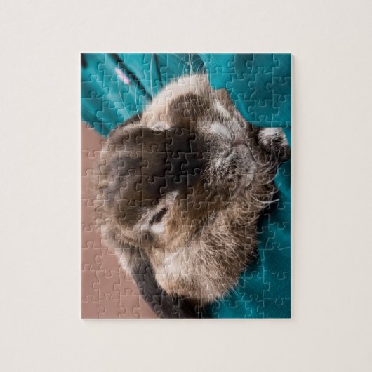 Puzzle Bunny (Vertical)