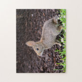 Puzzle Bunny Baby (Vertical)