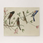Puzzle Bunting, Sparrow, Junco, (Finches) Oiseaux d'Audub (Horizontal)