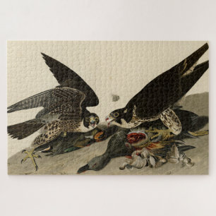 Puzzle Buse à pattes géantes des oiseaux d'Amérique d'Aud