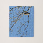 Puzzle Buse à queue rouge (Vertical)