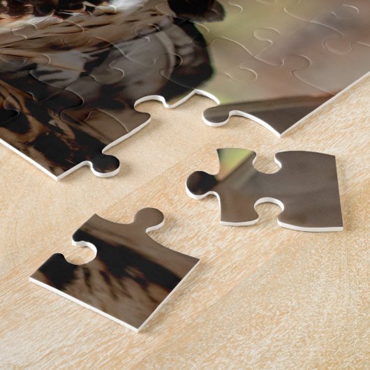 Puzzle Buse à queue rouge dans la vallée de l'Hudson (Côté)