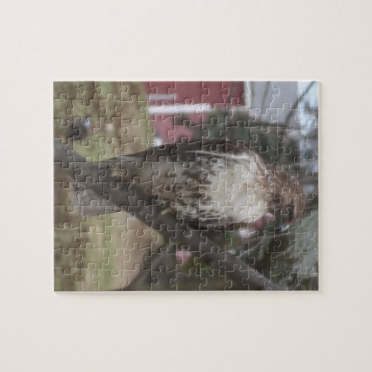 Puzzle Buse à queue rouge dans l'arbre (Horizontal)