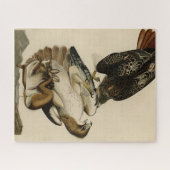 Puzzle Buse à queue rouge des oiseaux d'Amérique d'Audubo (Horizontal)