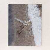 Puzzle Buse à queue rouge en vol (Vertical)