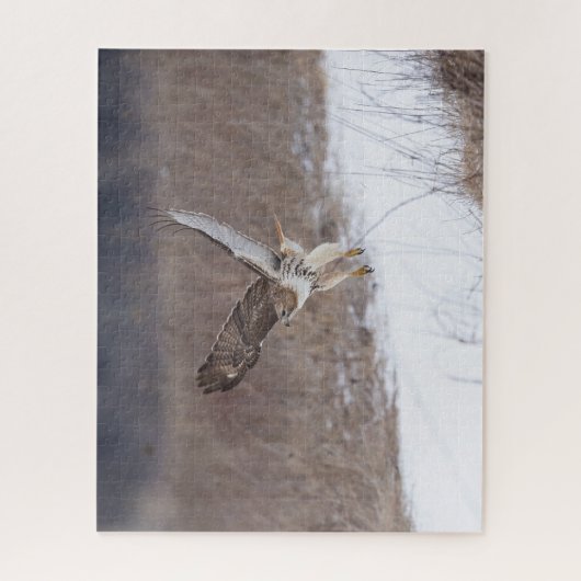 Puzzle Buse à queue rouge en vol (Vertical)