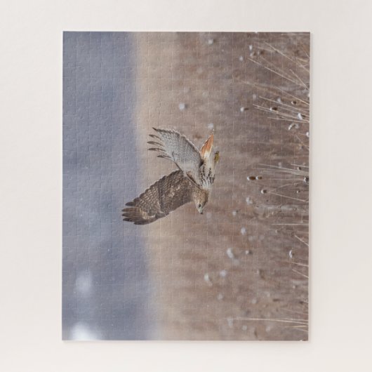 Puzzle Buse à queue rouge en vol (Vertical)