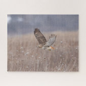 Puzzle Buse à queue rouge en vol (Horizontal)