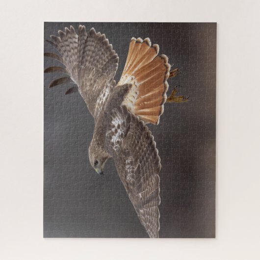 Puzzle Buse à queue rouge en vol (Vertical)