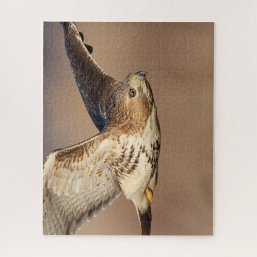 Puzzle Buse à queue rouge en vol (Vertical)