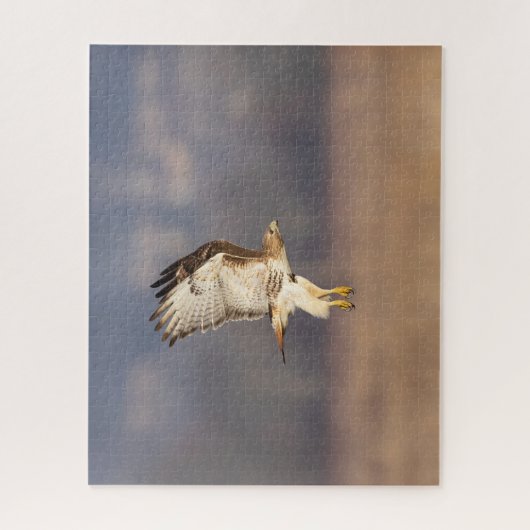 Puzzle Buse à queue rouge en vol (Vertical)