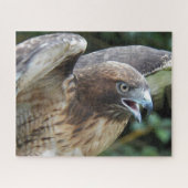 Puzzle Buse à queue rousse Raptor Animal (Horizontal)