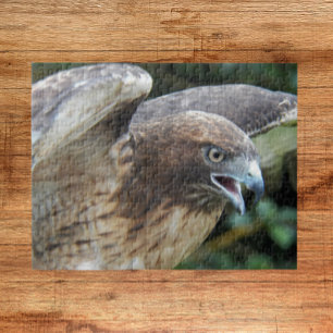 Puzzle Buse à queue rousse Raptor Animal
